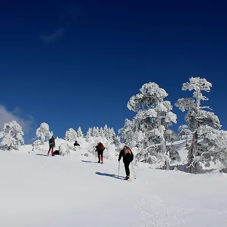 Oda ve Kahvaltı Muranum -