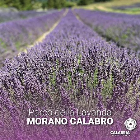 Muranum - Oda ve Kahvaltı 4*