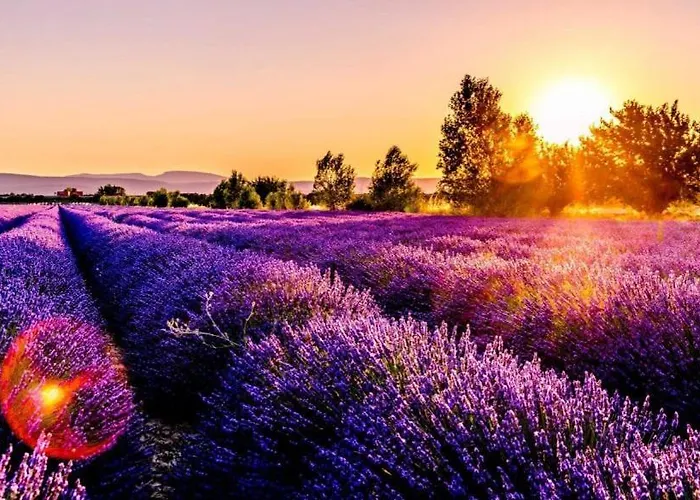 Bed & Breakfast Muranum - 4*