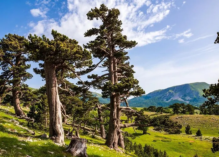 Muranum - Morano Calabro