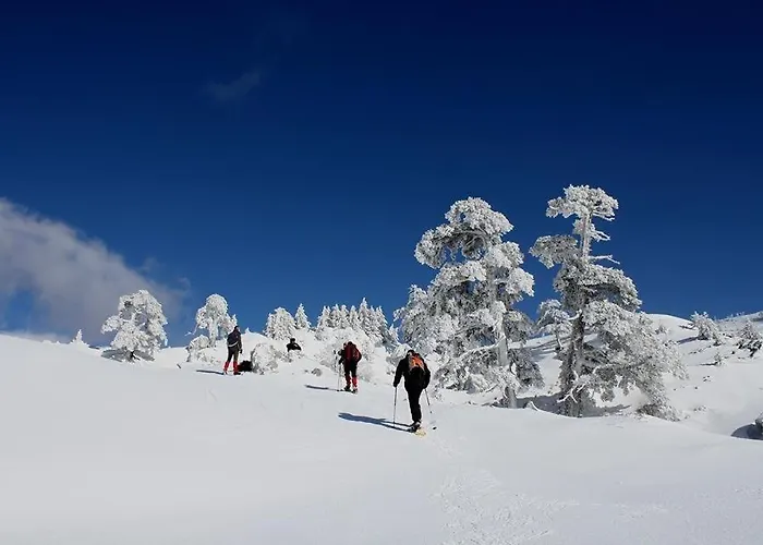 Bed & Breakfast Muranum -