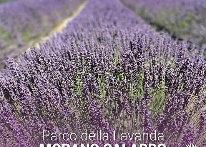 Muranum - Bed & Breakfast 4*